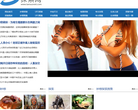 探索网