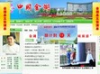金湖政府网